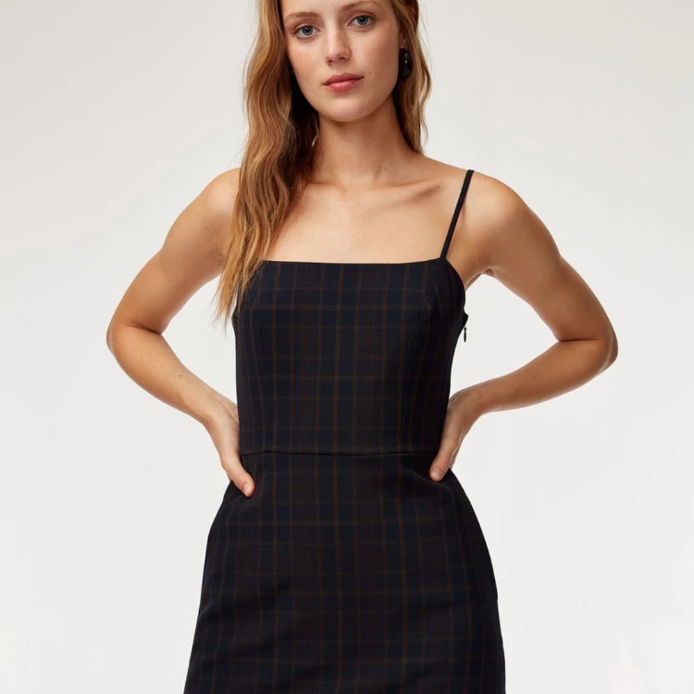 Size 8 Wilfred Isabelle Dress